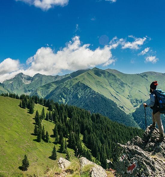 أجواء ريفية