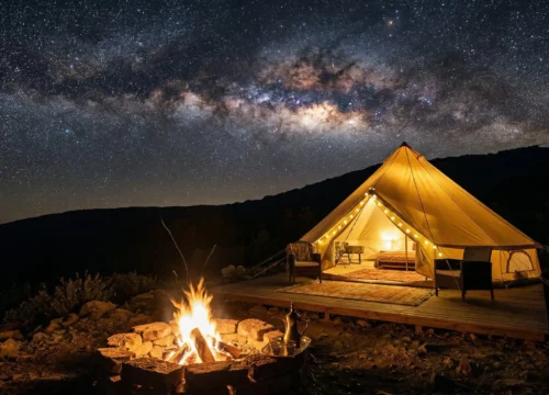 Luxury Camping Under Aseer Stars